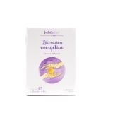 Oráculo liberación energética 